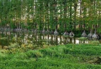 武汉城市圈内的国家级湿地公园增加到30家！