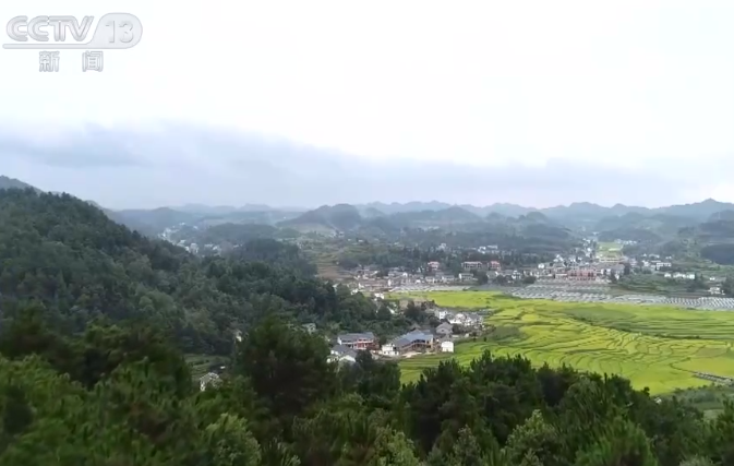 我国积极构建乡村物流体系 助推农村电商发展促进乡村振兴