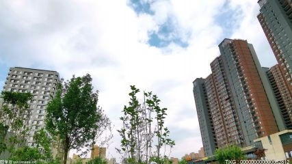 深圳第二批次居住用地有12宗地溢价成交 平均溢价率高达9.3%